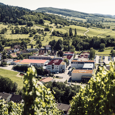 HTG - Unternehmen - Geschichte